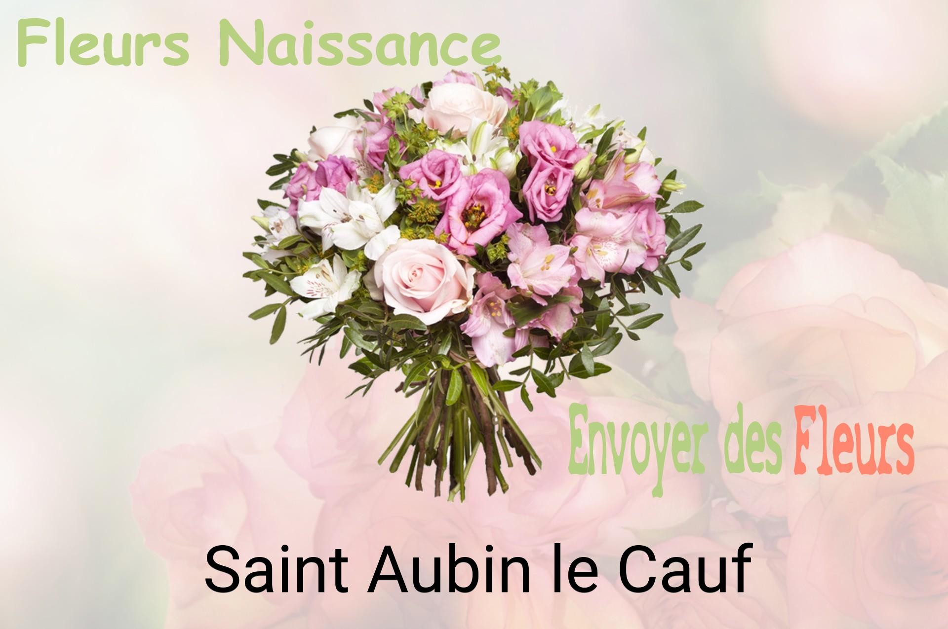 Bouquet de fleurs de naissance livré à Saint-Aubin-le-Cauf